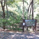 만인산 만인사 | 대전 만인산 >대전 등산코스 만인산 feat 봉이호떡