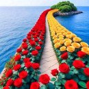 꽃이있는집 - 서구 하남대로 704 | 꽃이있는집