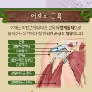 덕진사상체질과한의원 네이버블로그