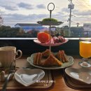 꽃하루방 이미지