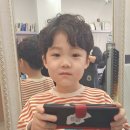 샵춘자 이미지