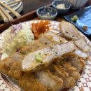 동백카츠 이미지