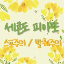 원영이 알콜릭 된 이유 생각하면 🌈존💖㉯😊 슬퍼 아무도 울 원영이 술 먹는 거 뭐라 하지마 ㅂㅊ 이미지