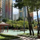 주식회사 안성컴퍼니 | 19일 시작한 스타벅스 실리콘 푸드백 세트 / 말차글레이즈드라떼 커스텀 카페인 오트 변경