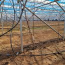 송백농장 이미지