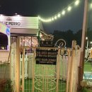 펠리스빼로 이미지