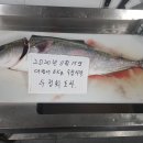 두정회포차