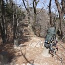 그라피아트