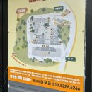 B05 | 개인화장실이 있는 조용한 연천 라곰캠핑장 B05 사이트 후기🏕️