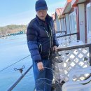 독도바다낚시터 이미지