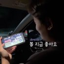 감성은 없지만 취향은 있는 사람의 9월 일상