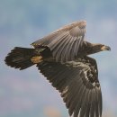 정복농장 이미지