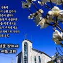 PICTURE&TEXT_20230319_사사기 16장 3절_하나님을 향하여 문을 여는 교회_사순절 네 번째 주일&교회창립 70주년 기념 이미지