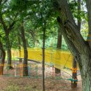 자연아 놀자 이미지