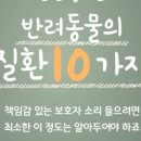 제인동물병원