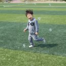 부주산축구장 이미지