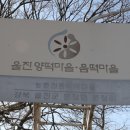 조금리 Daum카페
