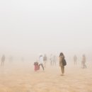 안개로가로수 이미지