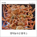 먹기 좋은 제철 영덕 박달 홍게, 활홍게 대게 &#39;파지 한박스 가득 3kg 8~12마리 찜발송&#39; 리뷰 및 솔직후기