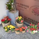 왕장식당