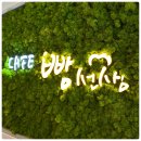 빵선생