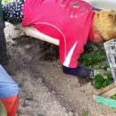 원문농장 이미지