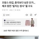 중국보다 낮은 단가로 수주한 체코원전 이미지