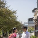 아뜰리에331 카페 앞 횡단보도 | 부산 토탈스튜디오 아뜰리에포유 로드씬