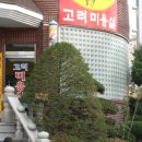 중희안경원 Daum카페