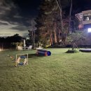 포레스트258 펜션 이미지