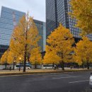 신미술관(휴관) 이미지