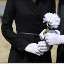 강원장의사 이미지