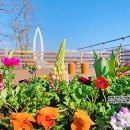 붕어섬축구장 이미지