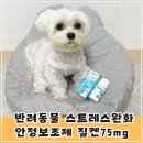 강아지 분리불안 자동차멀미 반려동물안정보조제 질켄 급여 후기(소형견 및 고양이용)
