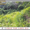 보광보건진료소 이미지