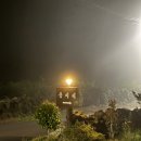 동이네민박 | [제주]제주 선흘리 근처 단체 숙박하기 좋은 동이네민박 솔직 후기.
