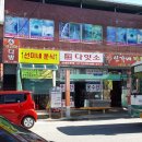 다잇소 이미지