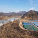 삼용2리(행정) 이미지