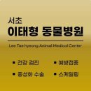 서초 이태형 동물병원 이미지