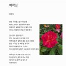 애착심 이미지