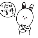 쫀득쫀득 가람댁 불타는막창