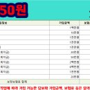 초이더플랜 이미지