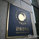 금융감독원 - 12213 | 금융감독원