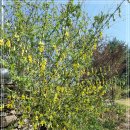 광주-곤지-곤지암-1 이미지