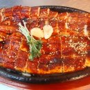 달빛장어 이미지