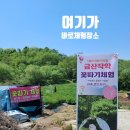 도연농장 네이버블로그