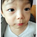 쩡이맘 이미지