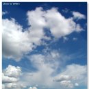 마이투스 이미지