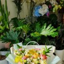 내성지구대 이미지