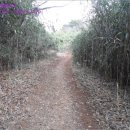 어등산주유소 이미지